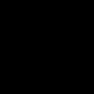 Meet your Posher, Belitza